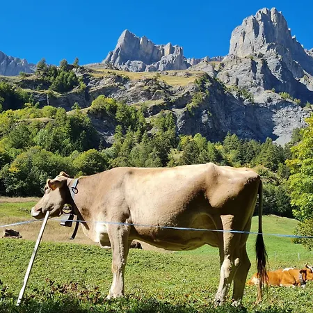 דירה Once Upon A Time