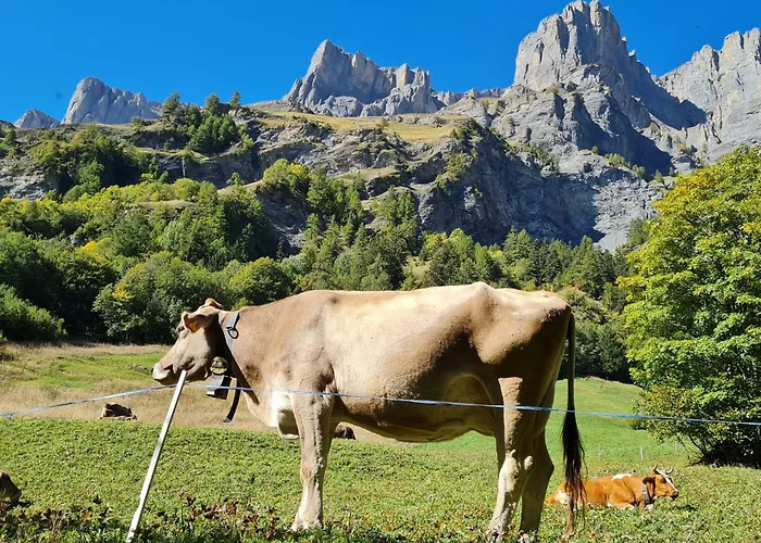 아파트 Once Upon A Time